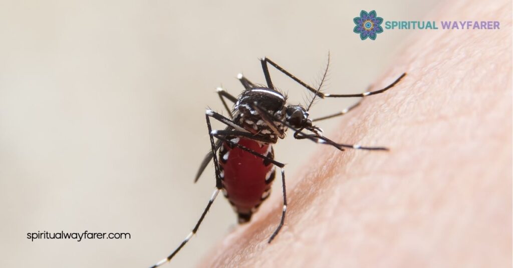 Spiritual Meaning of Mosquitoes: Discover Their Symbolism & Life Lessons 1 Understanding Mosquito Symbolism