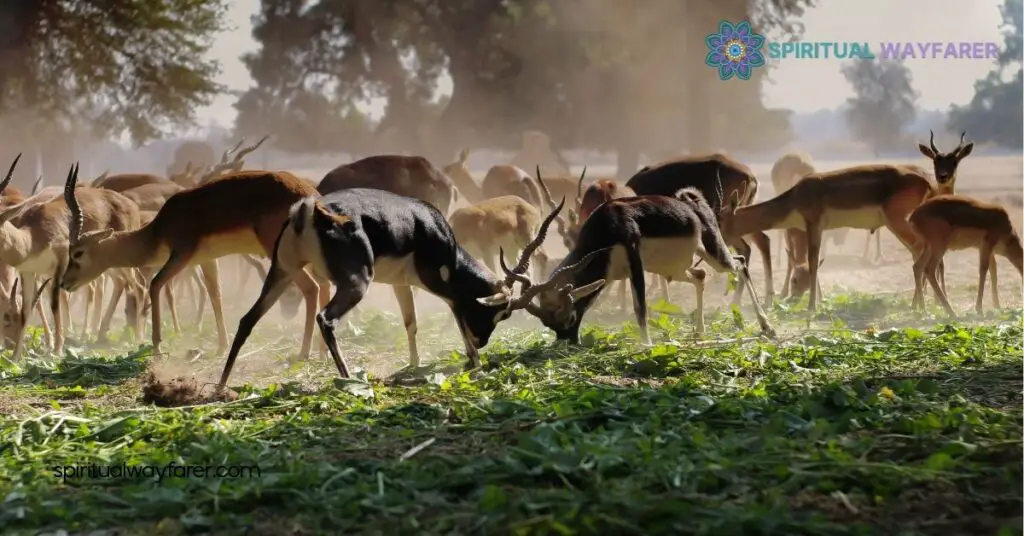 Discover Your Spirit Animal for January: Unlock Strength & Growth 1 Understanding Spirit Animals