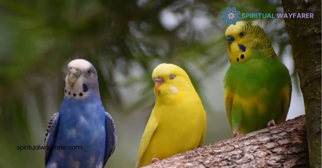 Three Birds: Exploring Their Spiritual Meaning & Symbolism 1 Understanding Three Birds in Spiritual Symbolism