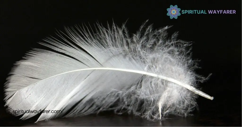 What Does a White Feather Mean in the Bible? Discover Its Spiritual Significance 1 Understanding White Feathers in the Bible