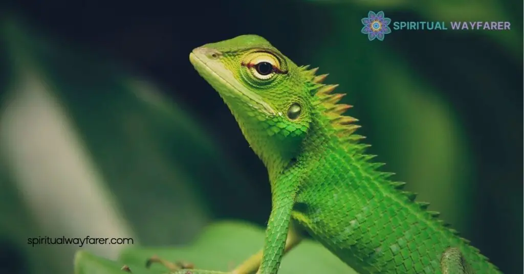 Unlocking the Lizard Spirit Animal Meaning: Transform Your Life with Resilience and Adaptability 1 Understanding the Lizard Spirit Animal