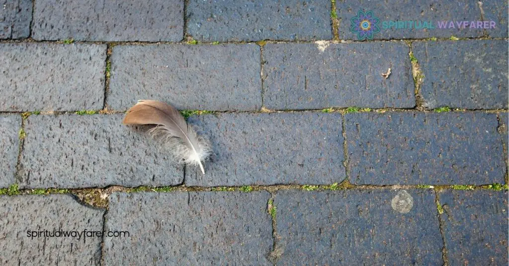 Discover the Spiritual Meaning of Finding Feathers on the Ground 1 Understanding the Spiritual Meaning of Finding Feathers on the Ground