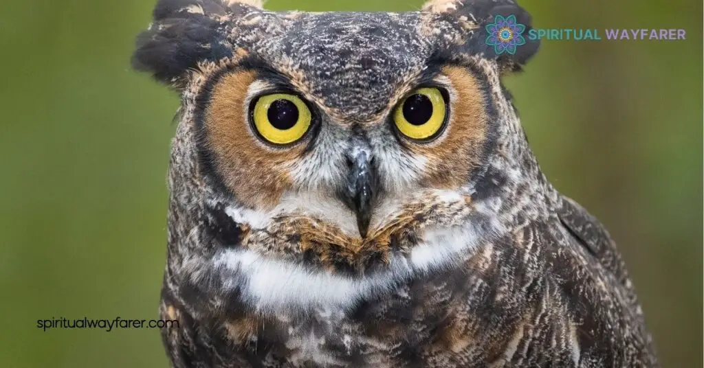 Spiritual Meaning Owl Bible: What Owls Represent in Scripture 1 Understanding the Spiritual Meaning of Owls in the Bible