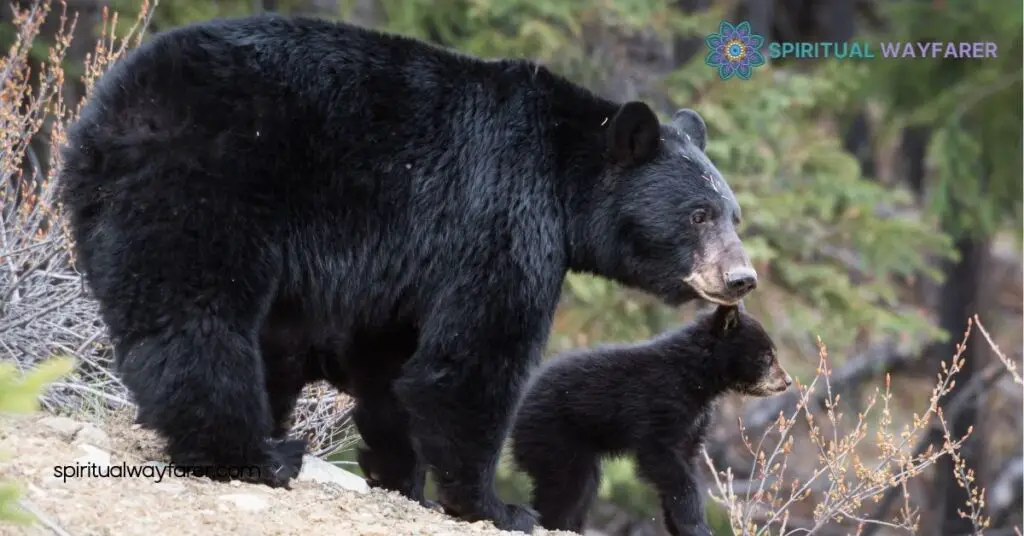 Spiritual Meaning Black Bears Dreams: Discover Their Hidden Messages 1 Understanding the Spiritual Symbolism of Black Bears in Dreams