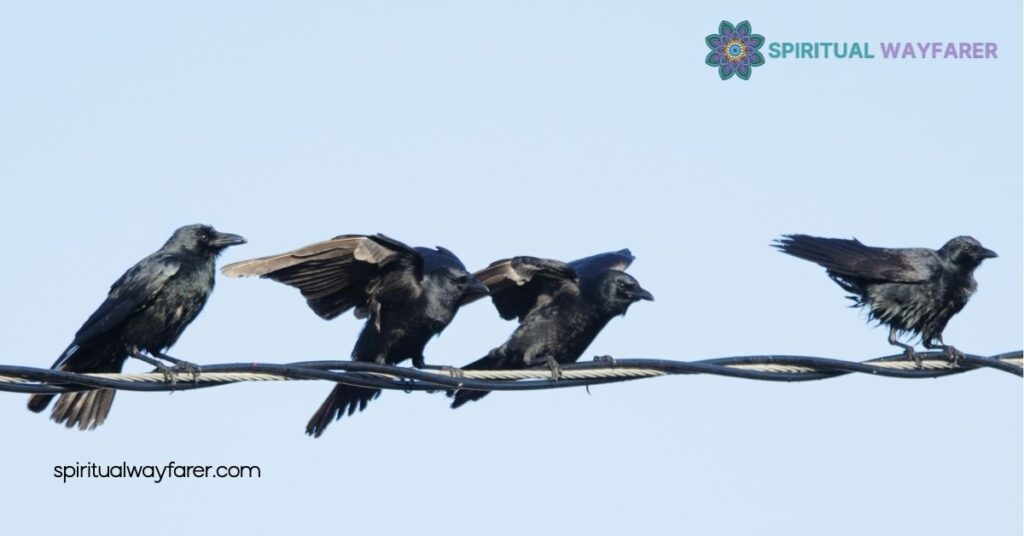 Unveiling the Spiritual Meaning of 4 Crows: Guidance and Transformation Explained 1 Understanding the Symbolism of 4 Crows