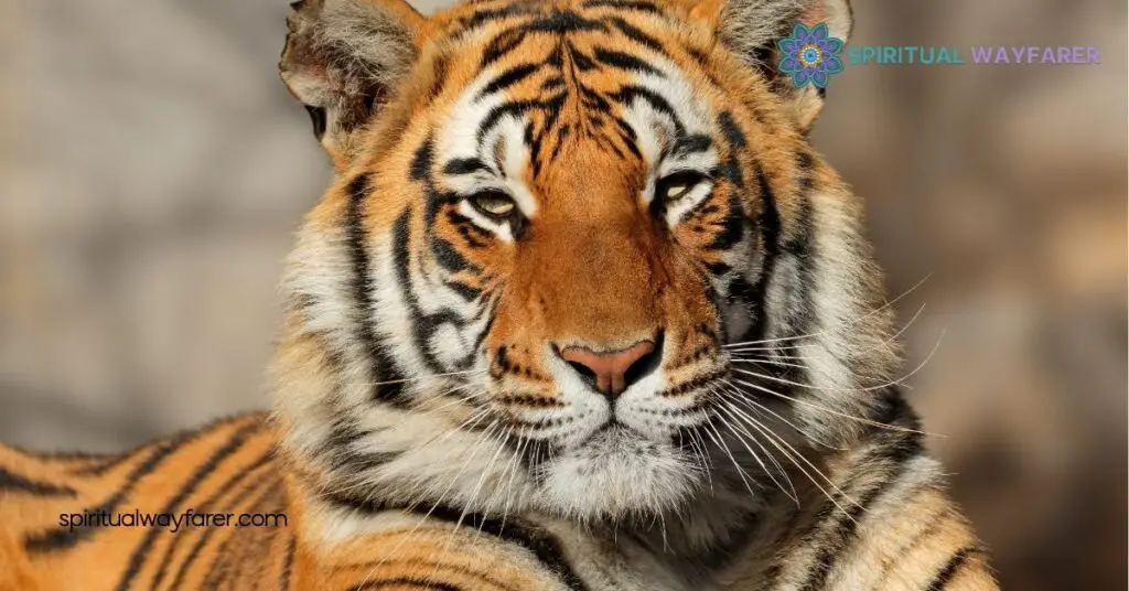 Unlock Your Power: Discover the Meaning of the Tiger Spirit Animal 1 Understanding the Tiger Spirit Animal