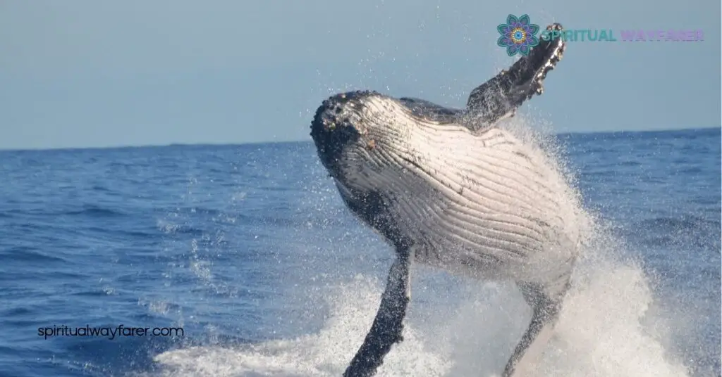 Whale Symbolism: Exploring Their Deep Cultural and Spiritual Meanings 3 Whale Symbolism in Modern Culture
