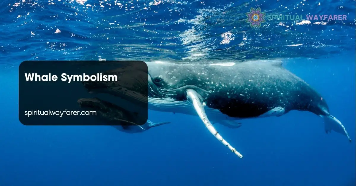 Whale Symbolism
