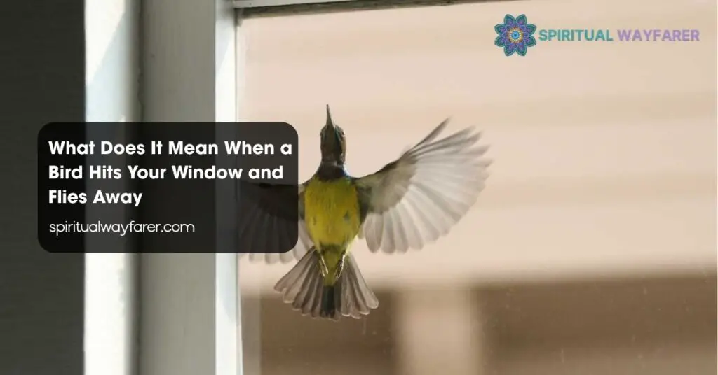 What Does It Mean When a Bird Hits Your Window and Flies Away