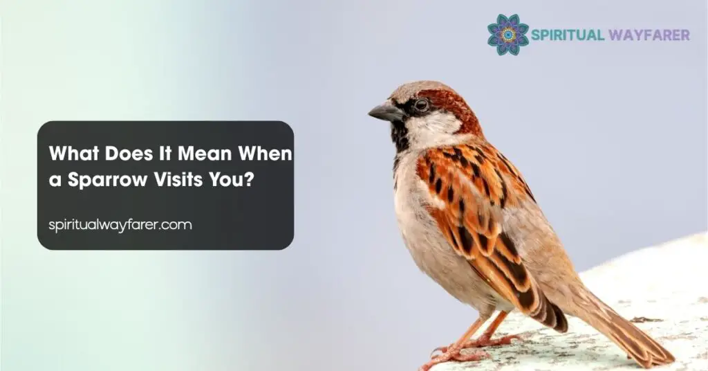 What Does It Mean When a Sparrow Visits You