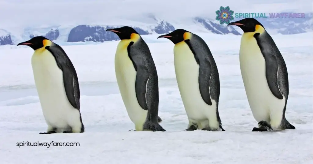 Penguin Power Animal: Harness Resilience and Teamwork from Nature’s Toughest Birds 1 What Is a Penguin Power Animal