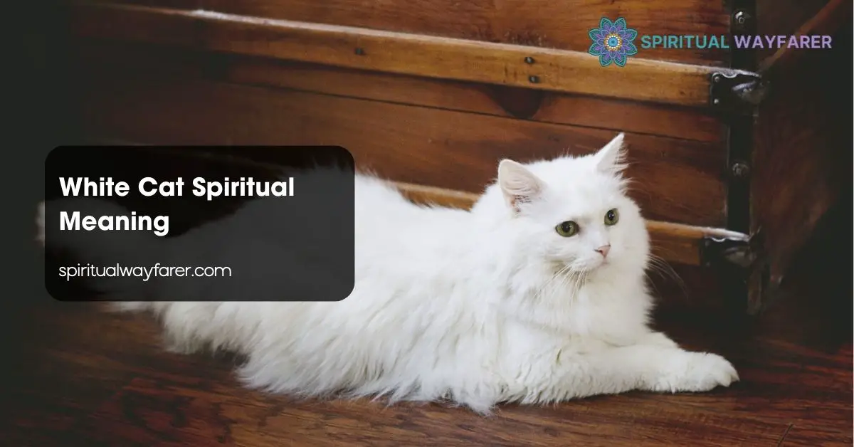White Cat Spiritual Meaning