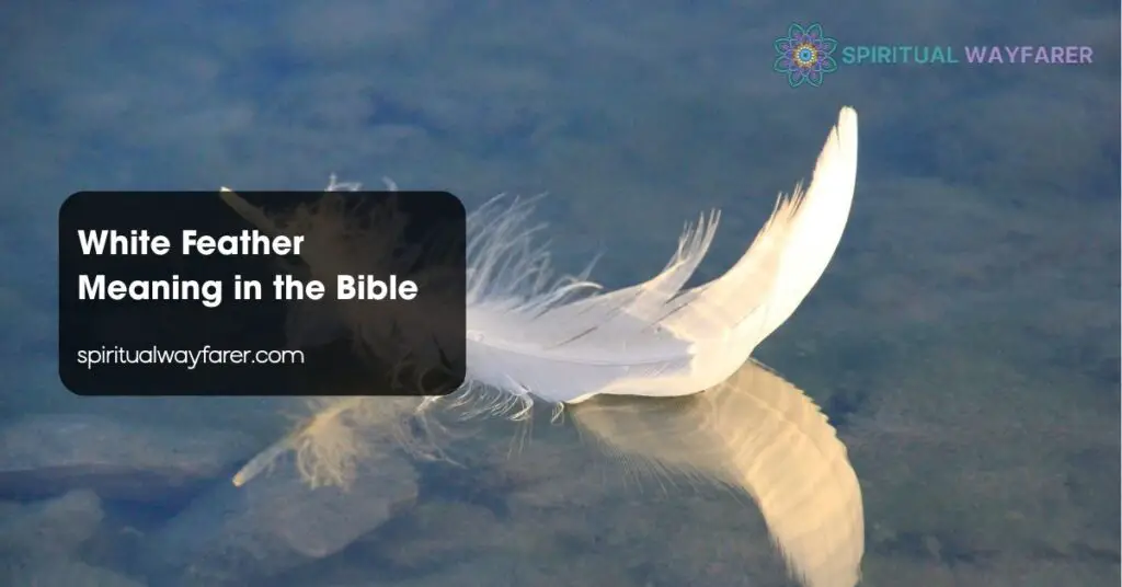 White Feather Meaning in the Bible