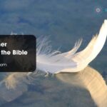 White Feather Meaning in the Bible
