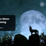 Why Drawn to Moon Spiritual Meaning