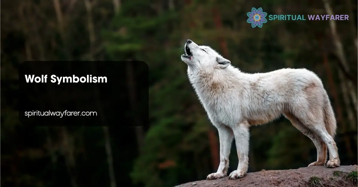 Wolf Symbolism