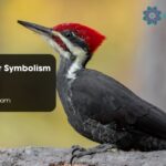 Woodpecker Symbolism