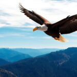 ZinZAm94aS2P7lmJtAOw3