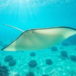 dqot 47aAMedX ThNINcJ