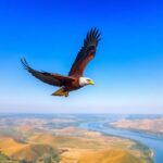 nFt8XrvxfLSmRuNO7QLeu