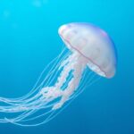 x9SWEDnyx DhiE EwGI3j