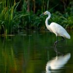 1Ll5mhFny4ssZRGXbhjup