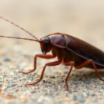 FbLQuSi0JKKffKhSZnkUF