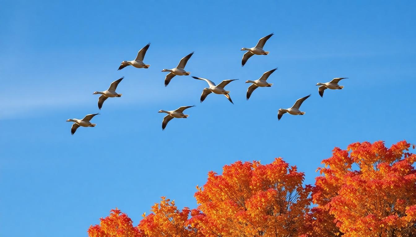 The Spiritual Meaning of Geese: Ancient Wisdom from Nature's Messengers 4 The Spiritual Meaning of Geese: Ancient Wisdom from Nature's Messengers 3