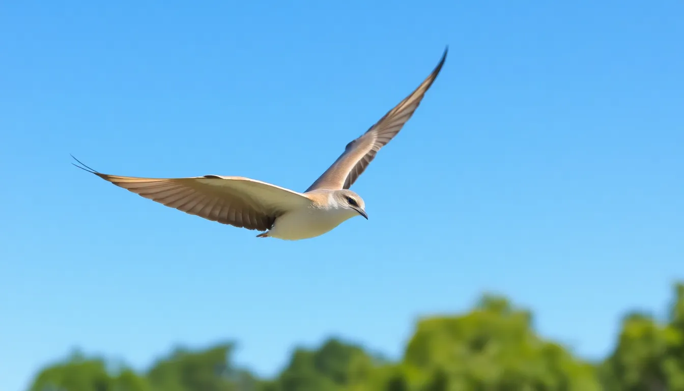 Spiritual Meaning of Swift Bird: Divine Messages & Sacred Symbolism Revealed 4 Spiritual Meaning of Swift Bird: Divine Messages & Sacred Symbolism Revealed 3