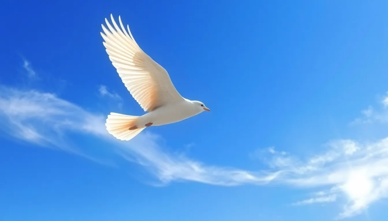 Spiritual Meaning of Swift Bird: Divine Messages & Sacred Symbolism Revealed 2 Spiritual Meaning of Swift Bird: Divine Messages & Sacred Symbolism Revealed 1